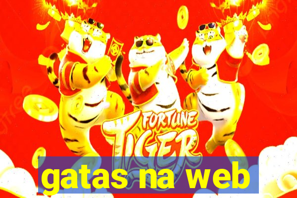 gatas na web